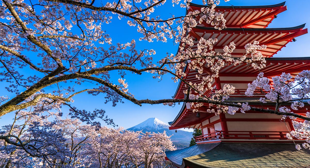Keindahan Alam Jepang: Dari Gunung Fuji hingga Taman Bunga Sakura