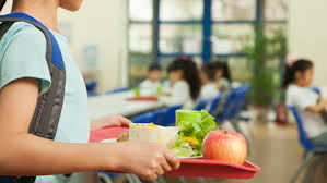 Program Makan Bergizi Gratis: Upaya Nyata Tingkatkan Kualitas SDM Indonesia